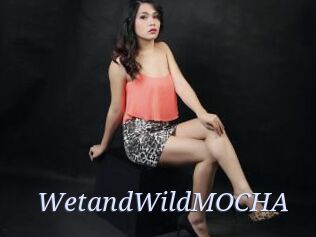WetandWildMOCHA