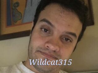 Wildcat315
