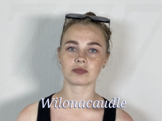 Wilonacaudle