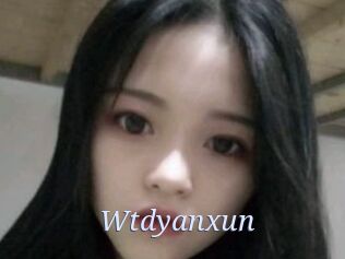 Wtdyanxun