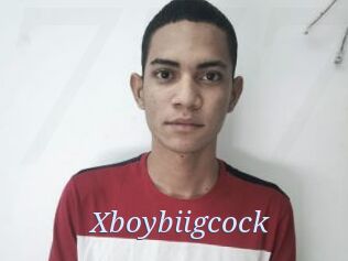 Xboybiigcock