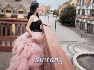 xintang 777 Erotik Chat