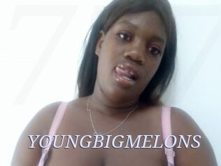 YOUNGBIGMELONS