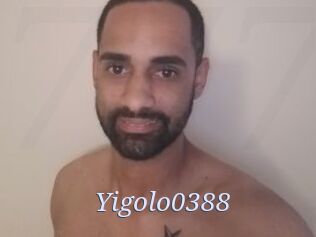 Yigolo0388