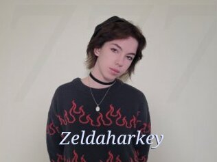 Zeldaharkey